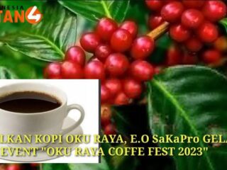 Kenalkan Kopi OKU Raya, E.O. SaKaPro Gelar Event "OKU RAYA COFFEE FEST 2023"