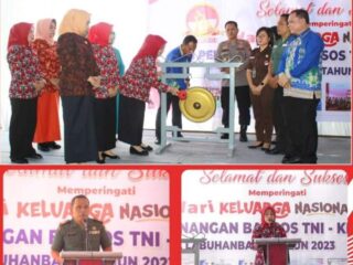 Pemkab Labuhanbatu Peringatan Hari Keluarga Nasional ke 30 dan Pencanangan Baksos TNI - KB - Kesehatan