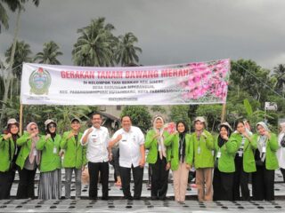 Wali Kota Irsan Efendi Nasution Tanam Bawang Merah Perdana di Desa Sabungan Sipabangun