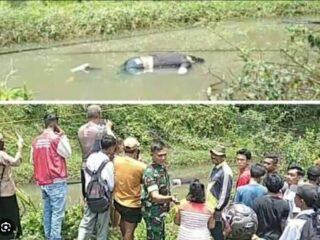 Sesosok Mayat Pria, Ditemukan Warga di Paret Bekoan di Simpang Berangir