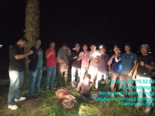 Tim Pam dan BKO PTPTN III Kebun Gunung Pamela Berhasil Amankan Diduga Pencuri TBS
