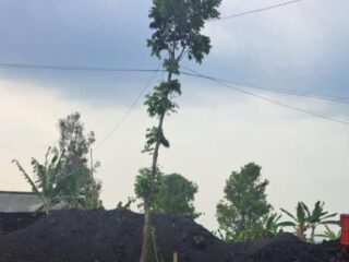 DPW Badak Banten Provinsi Banten Minta Pemprov dan APH Tutup Tambang dan Galian Ilegal 