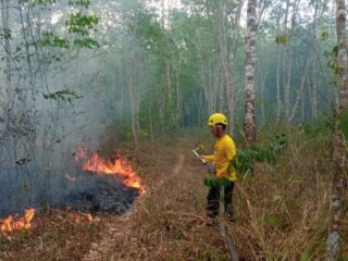 Tim Elang Darat Karhutla Padamkan Kebakaran Api Untuk Selamatkan Kebun Karet