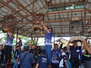 Dinas DKP3 Kota Banjarmasin, Gelar Kontes Kejuaran Lomba Burung Berkicau Tingkat Nasional