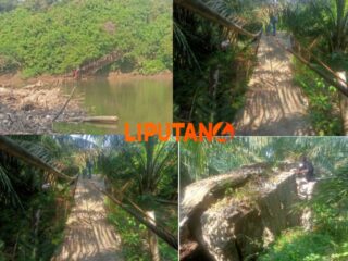 Bupati Musi Rawas Diduga Anggaran Divisit, Jembatan Gantung Desa Binjai Kec.Muara Kelingi Tak Kunjung Dibangun Kembali