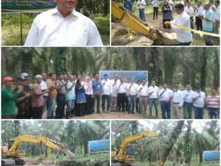 Bersama Koperasi Produsen Tani Sukses Makmur, PT. Adei Plantation P & I Kebun Mandau Lakukan Tumbang Chiping Perdana Porgram KKPA