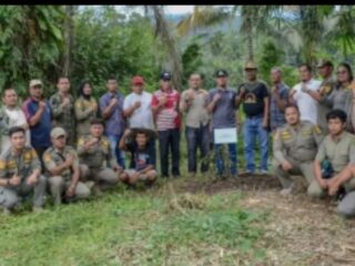 FKBPPPN Padangsidimpuan Gelar Kegiatan Penanaman Pohon Se-Nusantara