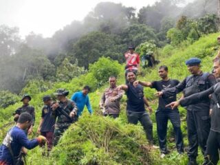Tim Gabungan Polres Madina TNI dan BNN  Kembali Temukan Ladang Ganja Seluas 1 Hektare 3000 Pohon Ganja Dimusnahkan