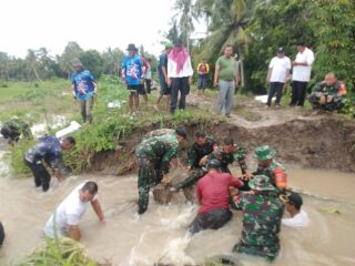 Tanggul Sungai Way Pisang Jebol Ribuan Hektar Tanaman Padi Terancam Kerendam Koramil 421-08 Pls, Turunkan Babinsa