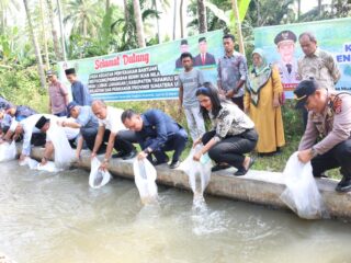 Sekda Tapsel Bersama Masyarakat Muara Purba Nauli dan Sori Manaon Lakukan Tebar Benih Ikan Nila