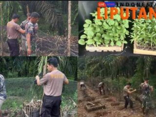 Tingkatkan Jalinan Sinergitas, Polsek Lengkiti Polres OKU Bersama TNI Manfaatkan Lahan Kosong Untuk Bercocok Tanam Sayuran