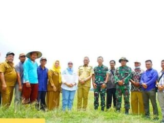PLT Bupati Bersama Dandim 0209/LB Tinjau Lokasi Lahan Pertanian di Kecamatan Panai Tengah