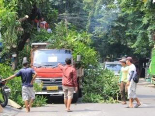 DLHKP Kota Kediri rutin lakukan pemangkasan  antisipasi pohon tumbang.
