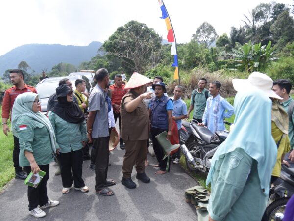 Bupati Tapsel Bersama Masyarakat Hadiri Penanaman Bibit Varietas Unggul Di Kecamatan Sipirok
