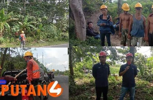 Cegah Gangguan Jaringan, Petugas PLN Baturaja Dibantu Warga Masyarakat Desa Gunung Meraksa Lubuk Batang OKU Lakukan Tebas Bayang