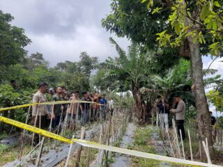 Sosok Tubuh Menggantung di Pohon Gegerkan Warga Desa Kassi Rumbia, Polisi Selidiki Motifnya