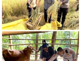 Lewat Bertani Dan Berternak Kapolsek Panongan Gerakkan Ekonomi Warga Panongan Tangerang