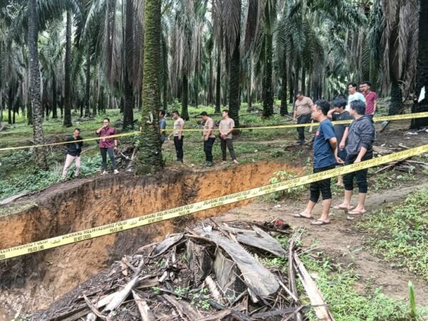 Polres Bangka Barat Olah TKP Kecelakaan Tambang Timah di Kawasan Perkebunan Sawit GSBL