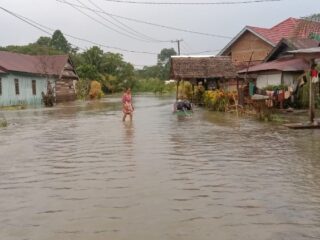 Menyedihkan! Begini Derita Warga Luwu Utara Akibat Bencana Banjir Berkepanjangan
