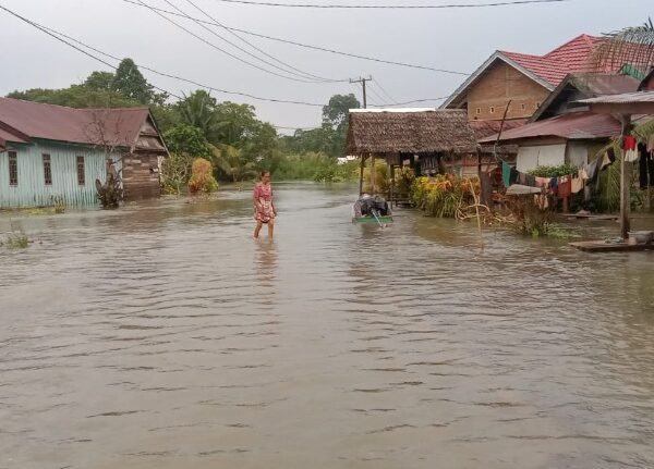 Menyedihkan! Begini Derita Warga Luwu Utara Akibat Bencana Banjir Berkepanjangan