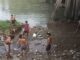 Diduga Ada Buang Limbah, Ikan di Sungai Padang Tebingtinggi Pada Mabuk