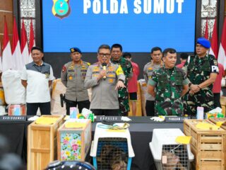 Polda Sumut dan Kodam I/BB Gagalkan Penyelundupan Barang Ilegal dari Thailand