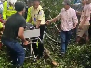 Cuaca Ekstrim Kota Medan,  Hujan Angin Bawa Petaka Pengendara Sepeda Motor  Meninggal  Dunia Tertimpa Pohon Tumbang